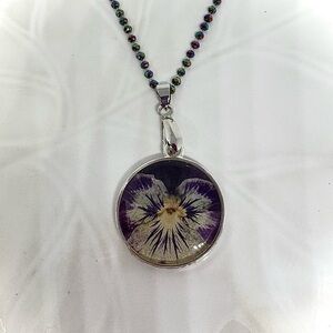 Twilight Pansy